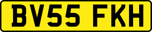 BV55FKH