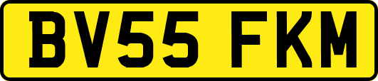 BV55FKM