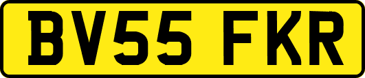 BV55FKR