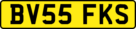 BV55FKS