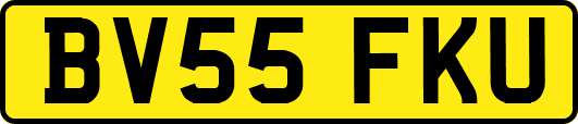 BV55FKU