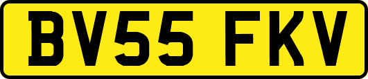 BV55FKV