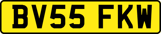 BV55FKW