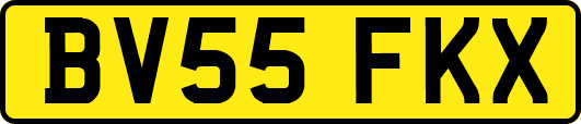BV55FKX