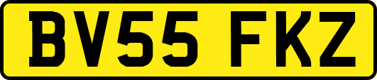BV55FKZ