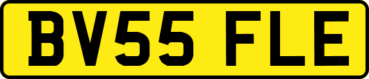 BV55FLE
