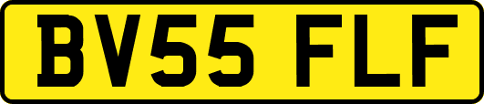 BV55FLF