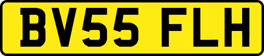 BV55FLH