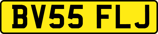 BV55FLJ