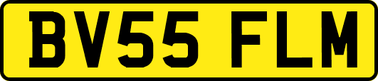 BV55FLM