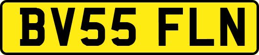BV55FLN