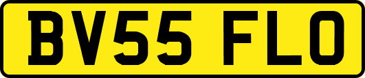 BV55FLO