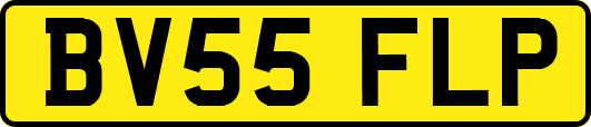 BV55FLP