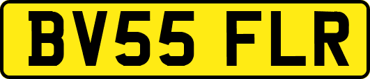 BV55FLR