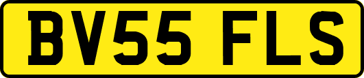 BV55FLS