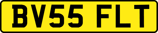 BV55FLT