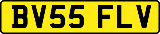 BV55FLV