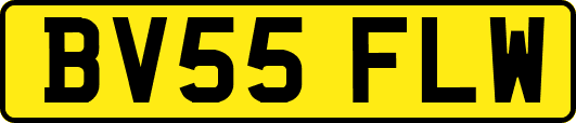 BV55FLW