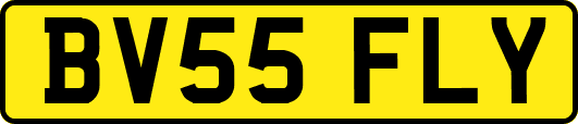 BV55FLY