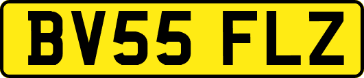 BV55FLZ