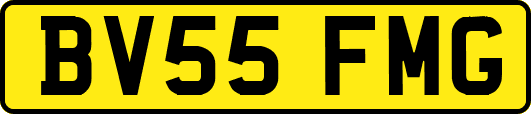 BV55FMG
