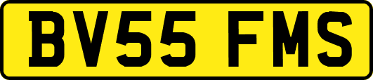 BV55FMS