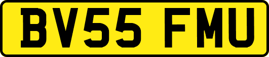 BV55FMU