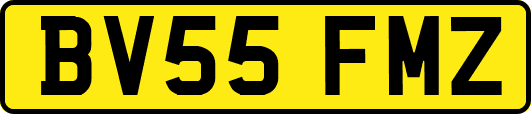 BV55FMZ