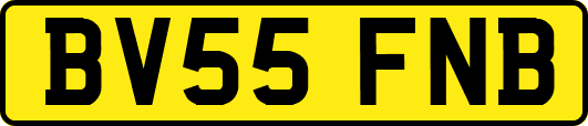 BV55FNB