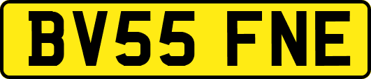 BV55FNE