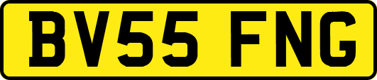 BV55FNG