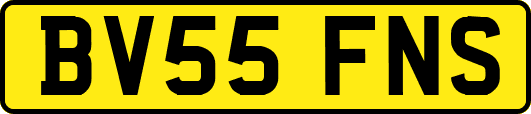 BV55FNS