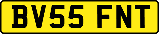 BV55FNT