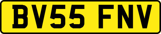 BV55FNV