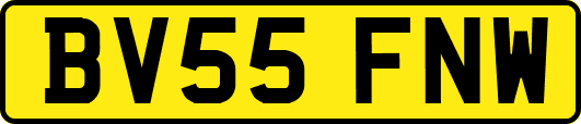 BV55FNW