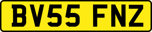 BV55FNZ