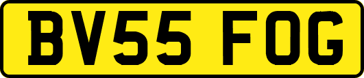 BV55FOG