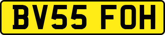 BV55FOH