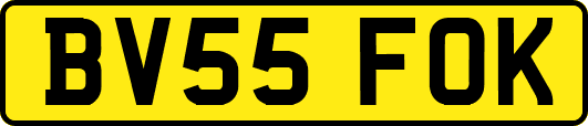 BV55FOK