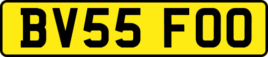 BV55FOO
