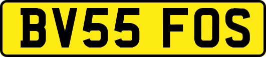 BV55FOS