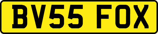 BV55FOX