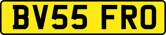 BV55FRO