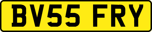 BV55FRY