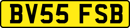BV55FSB