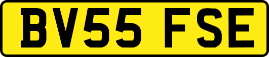 BV55FSE