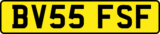 BV55FSF