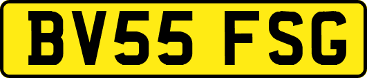 BV55FSG