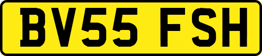 BV55FSH