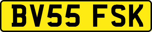 BV55FSK
